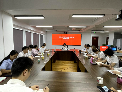 成渝公司黨委委員、工會(huì)主席、職工監(jiān)事李桃講授黨史學(xué)習(xí)教育專題黨課.png